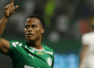 Palmeiras derrota Botafogo e assume liderança do Campeonato Brasileiro Palmeiras derrota Botafogo e assume liderança do Campeonato Brasileiro