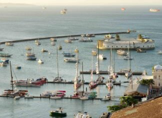Salvador Recebe Etapa Internacional De Natação Em águas Abertas Neste Fim De Semana