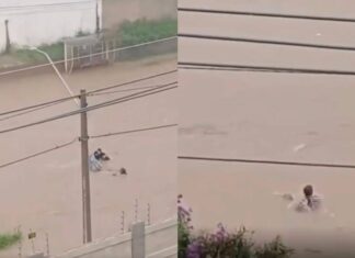 VÍDEO: Mulher Segue Desaparecida Após Ser Arrastada Por Enxurrada Em Vitória Da Conquista