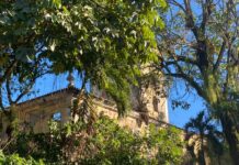 Abandono Marca Cenário Do Solar Boa Vista, Refúgio De Castro Alves