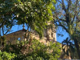 Abandono Marca Cenário Do Solar Boa Vista, Refúgio De Castro Alves