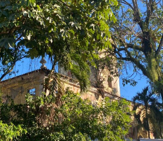Abandono Marca Cenário Do Solar Boa Vista, Refúgio De Castro Alves