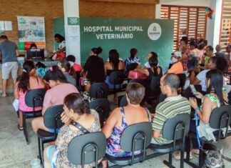 Hospital Veterinário De Salvador Ultrapassa 300 Mil Atendimentos Em Dois Anos