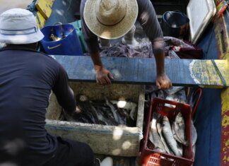 Pescadores beneficiados pelo Seguro-Defeso recebem 6º lote nesta terça