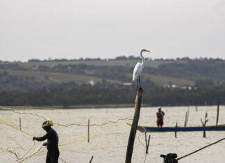 Sexto lote do seguro-defeso será disponibilizado na terça-feira