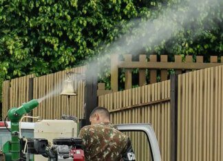 MS vai receber vacina em projeto piloto contra Chikungunya