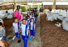 Projeto “Pé Na Escola” Será Retomado Nesta Segunda-feira Em Salvador