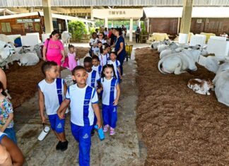 Projeto “Pé Na Escola” Será Retomado Nesta Segunda-feira Em Salvador