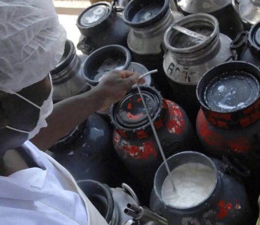 CMN libera linha de capital de giro a cooperativas de leite no Pronaf