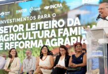 Governo federal anuncia recursos para o Pronaf Mais Leite