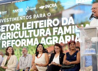 Governo federal anuncia recursos para o Pronaf Mais Leite