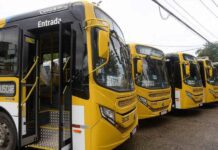 Violência Mantém Transporte Público Suspenso Em Dois Bairros De Salvador