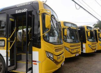 Insegurança Trava Transporte Público No Complexo Do Nordeste De Amaralina