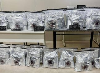 Polícia Civil Apreende 80 Kg De Cocaína E Dá Prejuízo Milionário Ao Crime