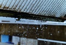 Chuva Em Salvador: Codesal Orienta População Após Registro De 80 Mm Em Três Dias