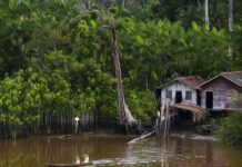 Projeto leva tratamento gratuito a doenças negligenciadas no Amazonas