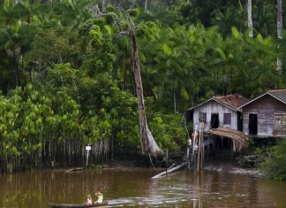 Projeto leva tratamento gratuito a doenças negligenciadas no Amazonas