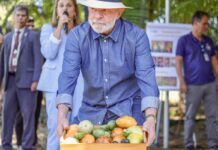 Lula: qualidade do agro é essencial para ampliar exportações
