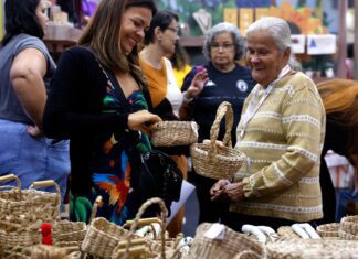 Brasil já tem 4,5 milhões de empreendedores da Economia Prateada