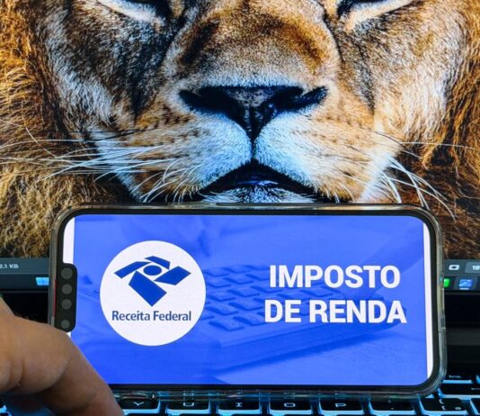 Receita abre consulta a lote da malha fina do Imposto de Renda