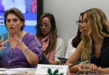 Na Câmara, Márcia Lopes debate escalada de violência contra a mulher
