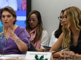 Na Câmara, Márcia Lopes debate escalada de violência contra a mulher