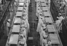 Há 100 anos, Ford instituía jornada de 40 horas nos Estados Unidos