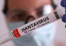 Duas pessoas retiradas de navio testam positivo para o hantavírus Duas pessoas retiradas de navio testam positivo para o hantavírus