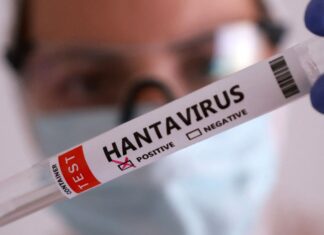 Duas pessoas retiradas de navio testam positivo para o hantavírus Duas pessoas retiradas de navio testam positivo para o hantavírus