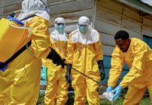Secretaria da Saúde de SP reforça vigilância sobre ebola no estado