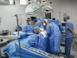 Doação De órgãos Cresce E Atinge Marca Histórica No Brasil; Entenda