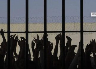 Operação Nacional Retira Celulares De Unidades Prisionais Em Todo O País
