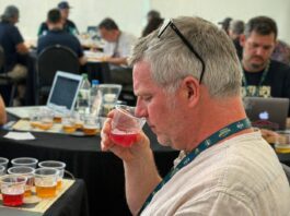 Bahia Sediará Primeiro Concurso Internacional De Cervejas Sem álcool Do Mundo