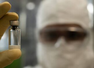 Brasil Terá Fábrica Própria De Vacina Contra Chikungunya