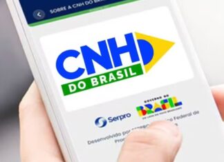 Câmara aprova MP que prevê renovação automática de CNH