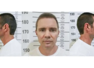 Interpol Pode Incluir Daniel Vorcaro Em Lista Internacional Para Rastreamento De Patrimônio