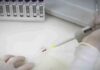 Paciente em SP com suspeita de ebola testa positivo para meningite