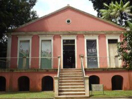 Museu paraense abriga uma das maiores coleções de mamíferos do mundo