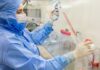 Estudo usa células-tronco contra complicações do transplante de medula