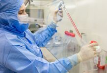 Estudo usa células-tronco contra complicações do transplante de medula