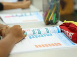 Censo Escolar 2026: dados da 1ª etapa podem ser conferidos até dia 11