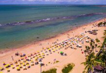 Jovem de 19 anos é atacada por tubarão na Praia de Boa Viagem