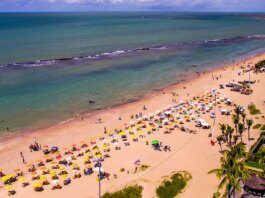 Jovem de 19 anos é atacada por tubarão na Praia de Boa Viagem