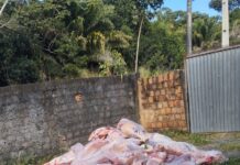 Ação Conjunta Resgata Reféns E Recupera Quatro Toneladas De Carne Roubada Em Salvador