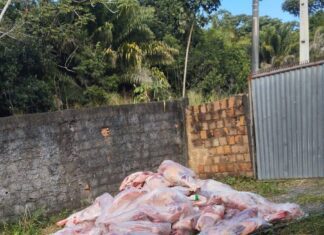 Ação Conjunta Resgata Reféns E Recupera Quatro Toneladas De Carne Roubada Em Salvador