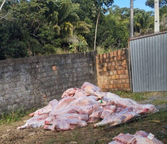 Ação Conjunta Resgata Reféns E Recupera Quatro Toneladas De Carne Roubada Em Salvador