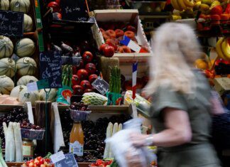Frutas vermelhas ajudam a proteger coração e imunidade