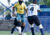Brasil encerra Jogos Parasul-Americanos com ouro no futebol de cegos Brasil encerra Jogos Parasul-Americanos com ouro no futebol de cegos