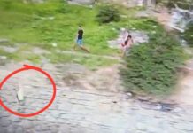 VÍDEO: Jovem Fica Ferido Após Pular No Mar Durante Operação Policial Na Gamboa