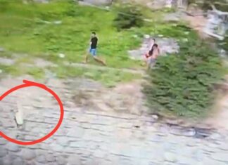 VÍDEO: Jovem Fica Ferido Após Pular No Mar Durante Operação Policial Na Gamboa